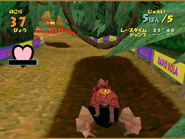 ARMADILLO RACING