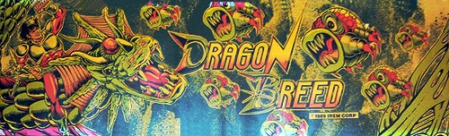 DRAGON BREED