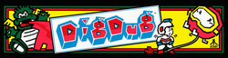 INTERNET ARCADE: DIG DUG