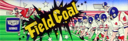 FIELD GOAL