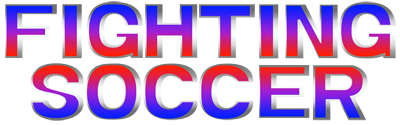 FIGHTING SOCCER