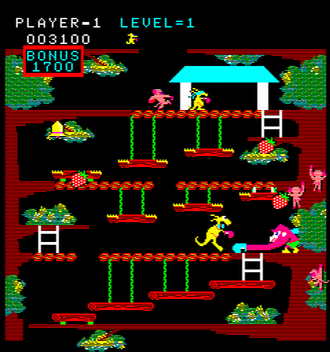 INTERNET ARCADE: KANGAROO