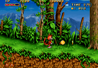 MAGICAL CAT ADVENTURE