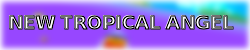 NEW TROPICAL ANGEL