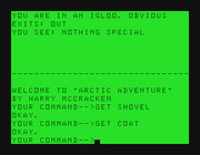 Arctic Adventure