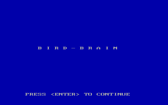 Bird Brain