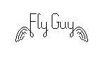 Fly