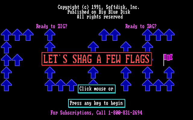 Zig Zag Flag Shag